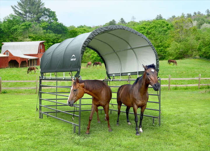 ShelterLogic Weidezelt-Überdachung